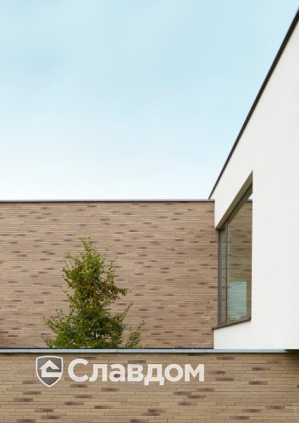 Частный дом в Тессендерло с облицовкой кирпичом Terca Linnaeus Salix