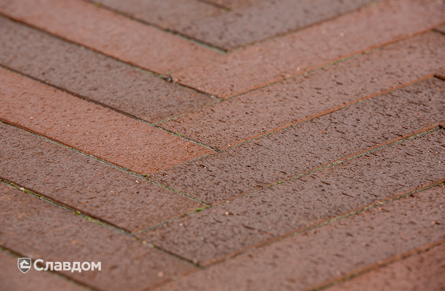 Территория частного дома с применением брусчатки Penter Baltic Klinker Pavers Nuance STT65