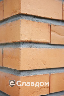 Частный дом с облицовкой кирпичом Terca Linnaeus Betula