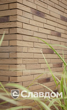 Частный дом в Тессендерло с облицовкой кирпичом Terca Linnaeus Salix