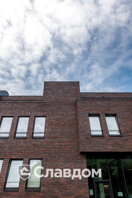 Стоматология в Зеле с облицовкой кирпичом Terca Wasserstrich Special E1