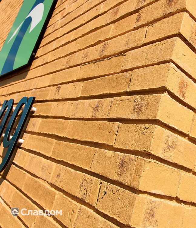 Ветеринарная клиника Dierenkliniek De Waalsprong с облицовкой кирпичом MUHR 06 Hellbraun bunt Wasserstrich