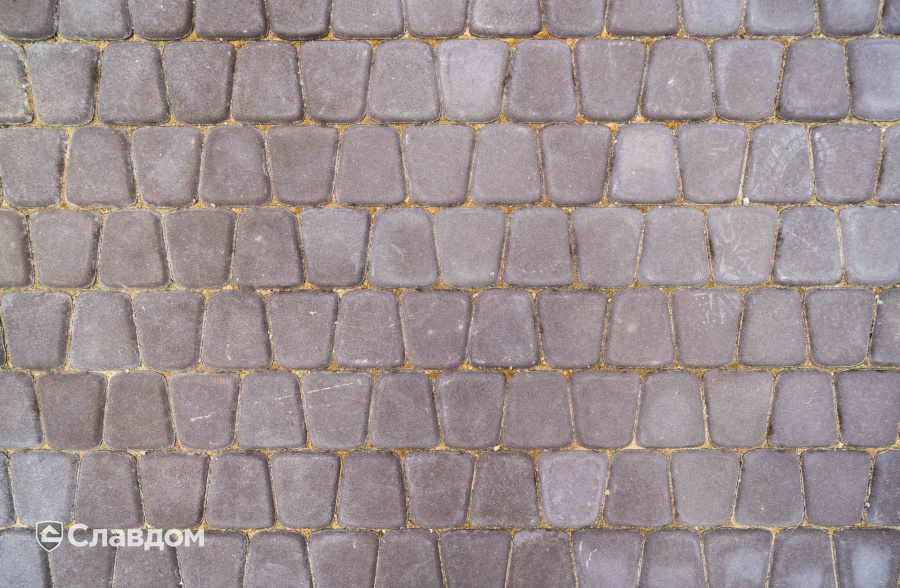 Загородный дом с мощением тротуарной плиткой BRAER