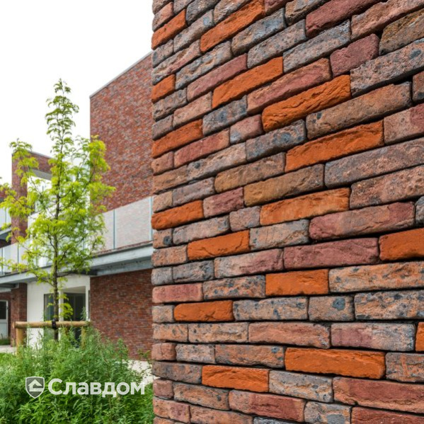 Жилой дом в Антверпене с облицовкой миксом кирпича Terca Maaseiker Bont и Paarsblauw