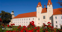 Резиденция с черепицей TONDACH Altstadt Tasche