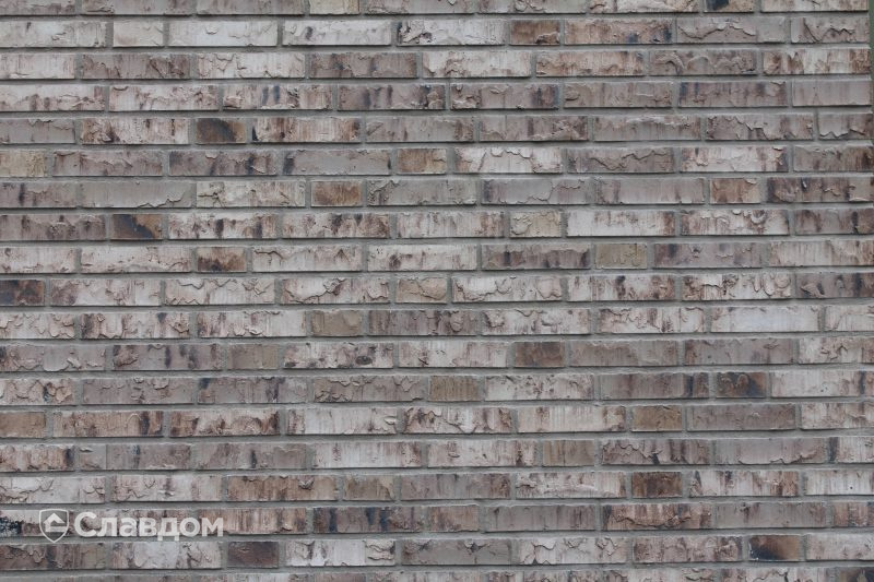 Спортивный зал De Lijster с облицовкой кирпичом Terca Birchwood
