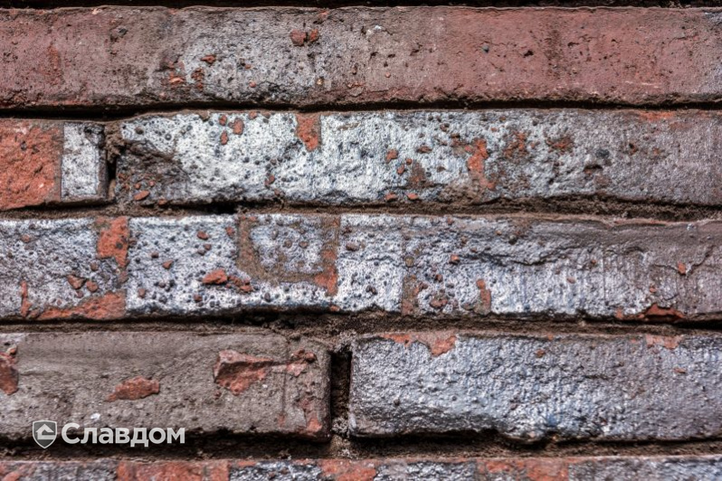 Частный дом в Эдегеме с облицовкой кирпичом Terca Wasserstrich Special E1