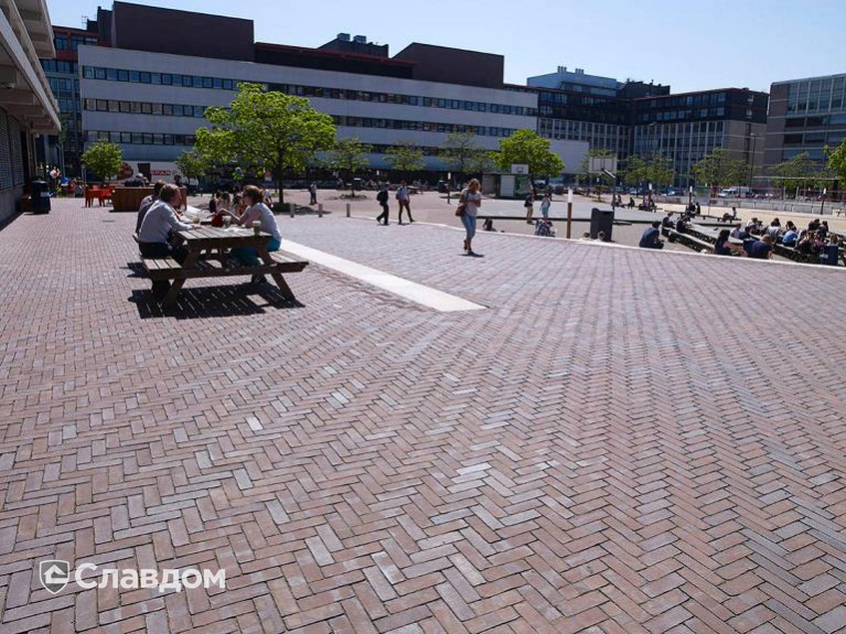 Территория университета в Амстердаме с применением брусчатки Penter Gala Wasserstrich DF