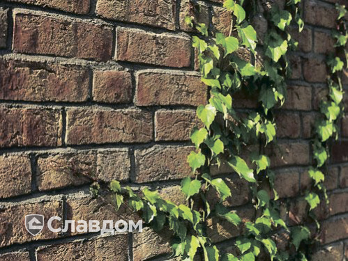 Частный дом с облицовкой кирпичом Roben Moorbrand sandgelb