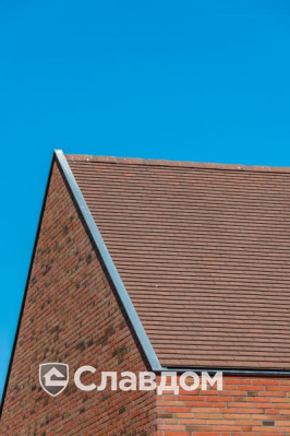 Частный дом с облицовкой кирпичом Terca Linneaus Robinia