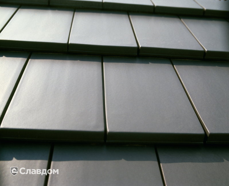 Дом с лаконичным дизайном с крышей из черепицы Creaton Domino Schieferton Engobiert