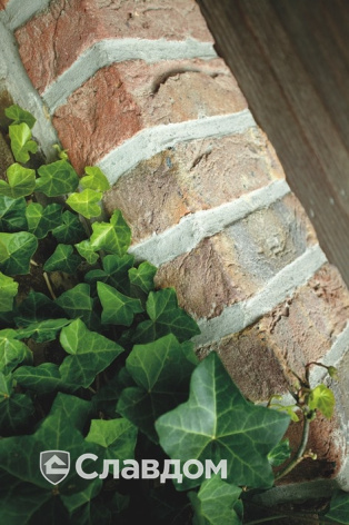 Коттеджный поселок с облицовкой кирпичом Terca Veldbrand Exterieur