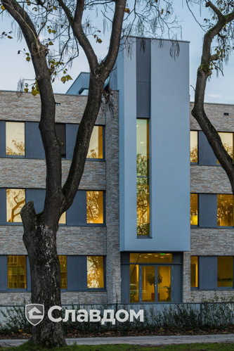 Школа Augustinianum с облицовкой кирпичом Terca Mystic Falls