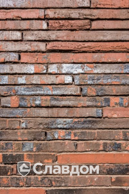 Частный дом в Эдегеме с облицовкой кирпичом Terca Wasserstrich Special E1