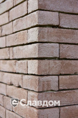 Частный дом с облицовкой кирпичом Terca Iluzo Bruin