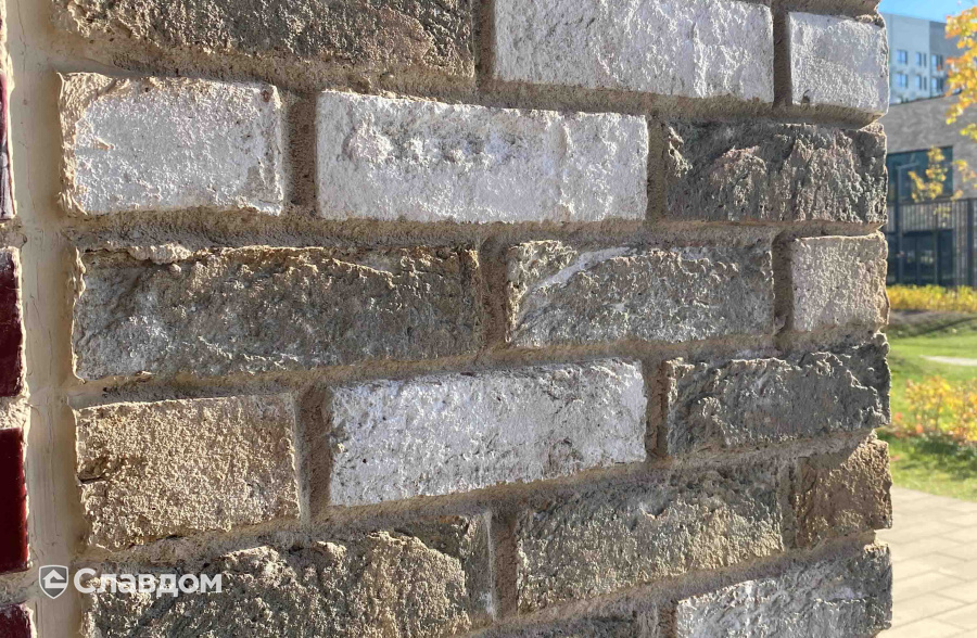 Школа в ЖК Бунинские Луга с облицовкой кирпичом ENGELS HANDFORM Carthago