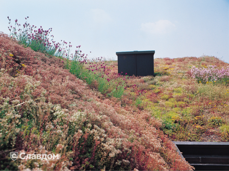 Частный дом в Шпангенберге