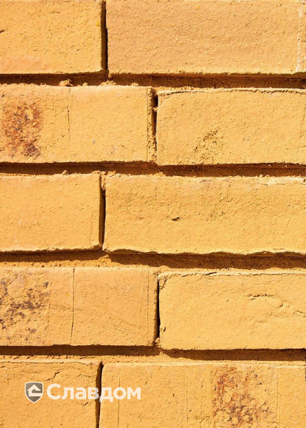 Ветеринарная клиника Dierenkliniek De Waalsprong с облицовкой кирпичом MUHR 06 Hellbraun bunt Wasserstrich