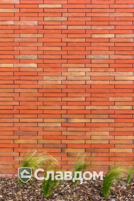 Частный дом в Лимбурге с облицовкой кирпичом Terca Linneaus Robinia