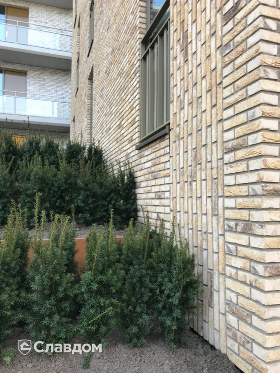 Многоэтажный дом с применением керамического кирпича ENGELS HANDFORM Tanganyika