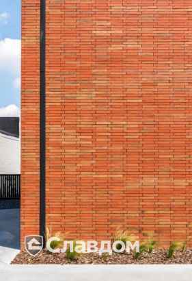 Частный дом в Лимбурге с облицовкой кирпичом Terca Linneaus Robinia