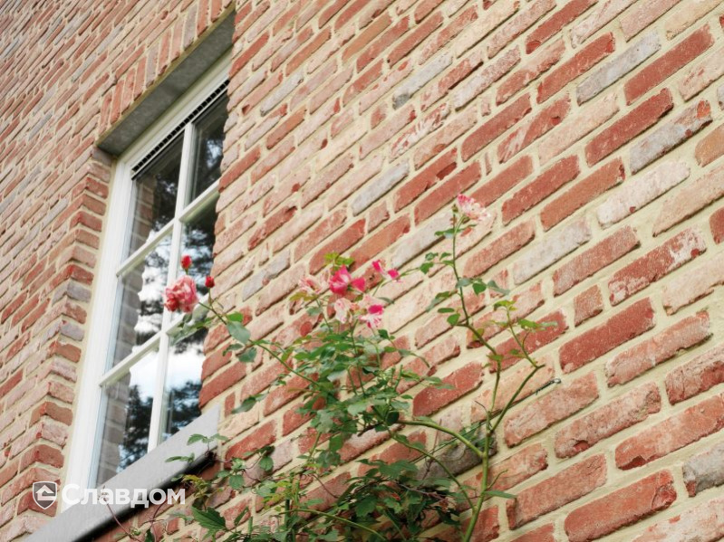 Частный дом с облицовкой кирпичом Terca Belle Epoque de Liege