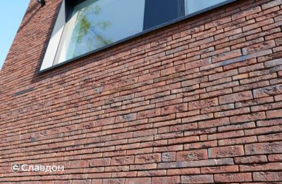 Стоматология в Кортрейке с облицовкой кирпичом Terca Wasserstrich Special E1 и Blauw-Rood Genuanceerd