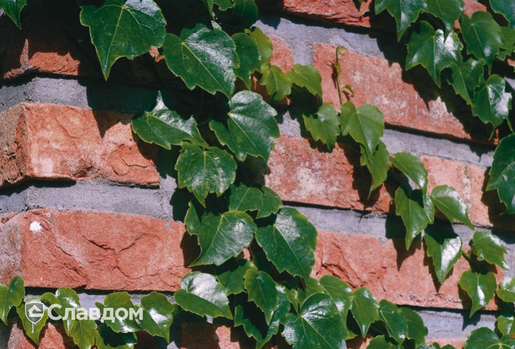 Трехэтажный дом облицованный фасадной плиткой LHL Terra Cotta