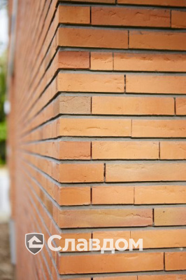 Частный дом с облицовкой кирпичом Terca Linnaeus Betula