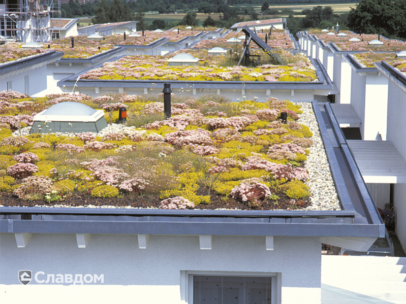 Таунхаусы в Людвигсбурге