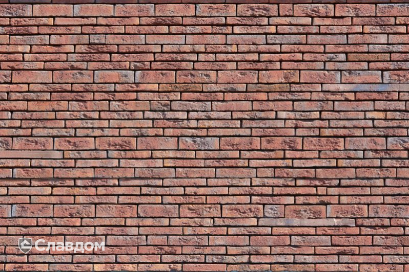 Стоматология в Кортрейке с облицовкой кирпичом Terca Wasserstrich Special E1 и Blauw-Rood Genuanceerd