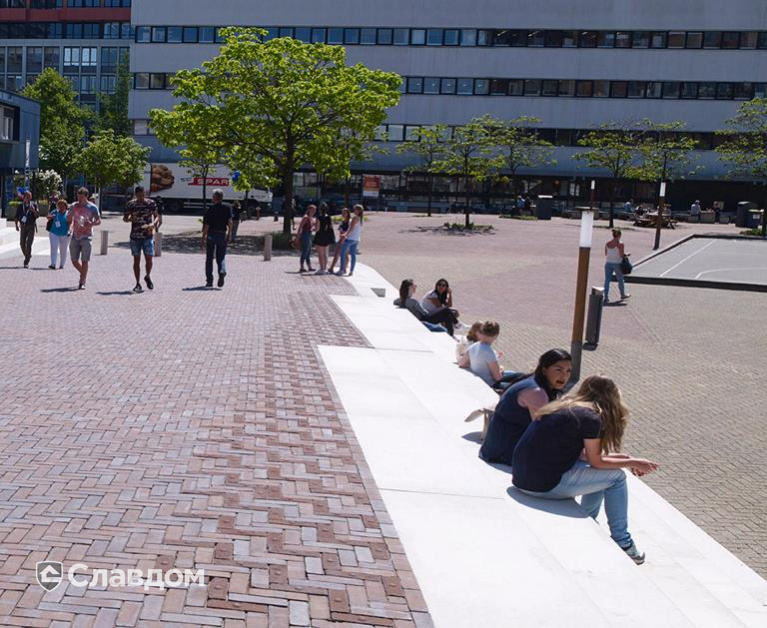 Территория университета в Амстердаме с применением брусчатки Penter Gala Wasserstrich DF