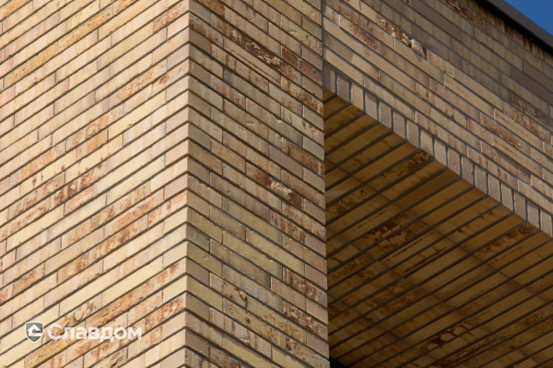 Здание школы Roelof Venema с облицовкой кирпичом Terca Sussex Multi Gesinterd