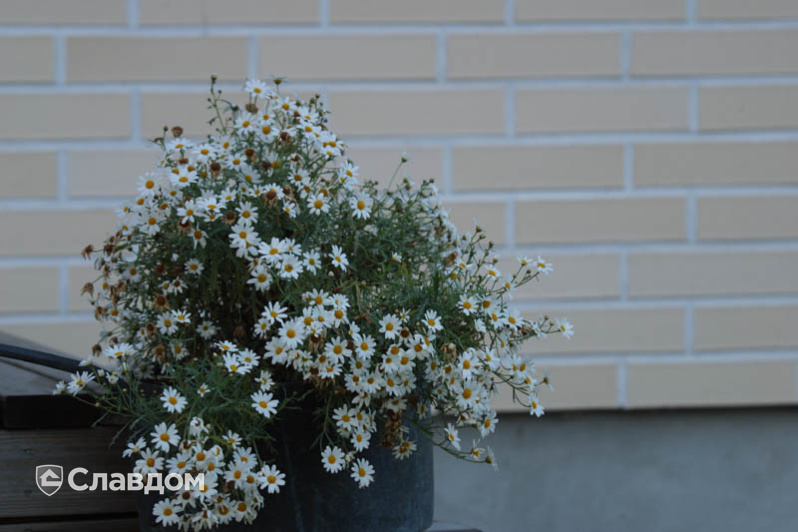 Жилой дом с черной крышей с облицовкой кирпичом Terca Kuura гладкий