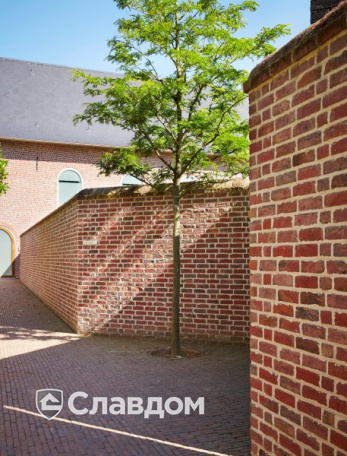 Стена аббатства в Вествлетерене с облицовкой кирпичом Terca Paarsblauw