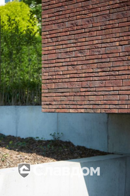 Стоматология в Кортрейке с облицовкой кирпичом Terca Wasserstrich Special E1 и Blauw-Rood Genuanceerd