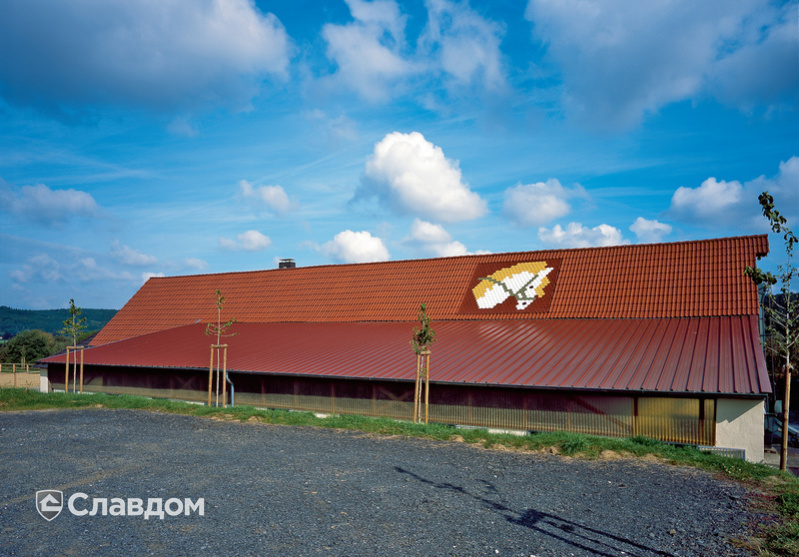 Узор на крыше из черепицы Creaton Biber Klassik Rot Glasiert