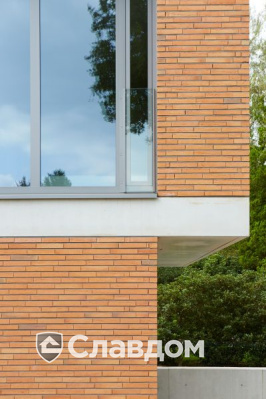 Частный дом с облицовкой кирпичом Terca Linnaeus Betula