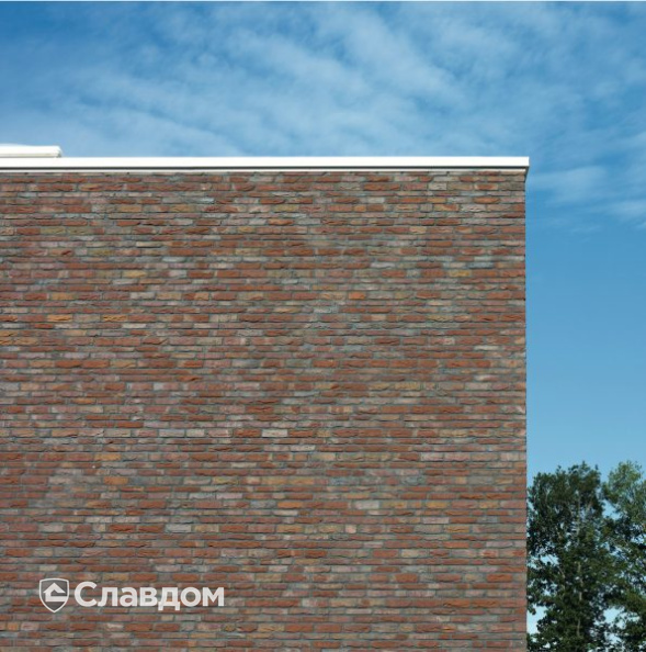 Частный дом в Лимбурге с облицовкой кирпичом Terca Paarsblauw