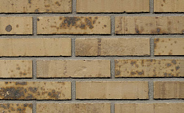 Кирпич облицовочный Terca Putty Multi Gesinterd 210*100*50 мм