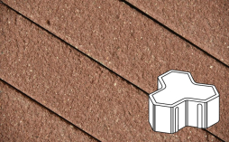 Плитка тротуарная Готика Premium Bronze, Шемрок Г.2.Ф.10, №21, 200*200*100 мм