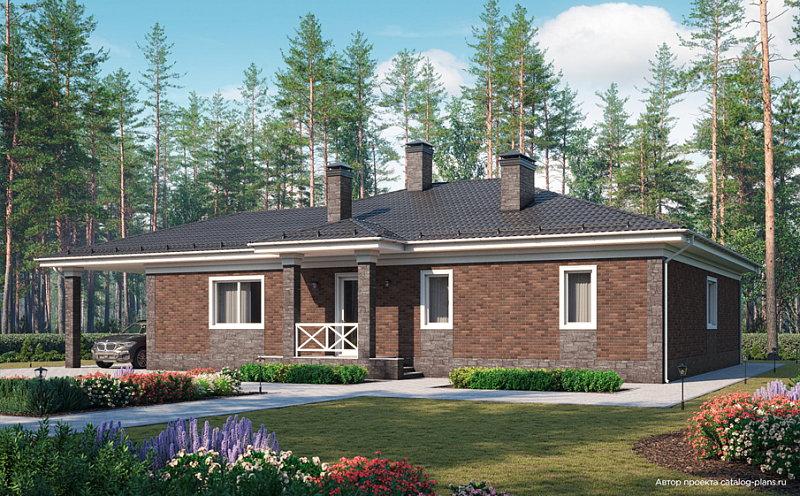 Кирпич клинкерный Plinfa Iron 2305, 215*102*65 мм