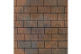 Плитка тротуарная SteinRus Прямоугольник В.6.П.8 Native, ColorMix Штайнрус, 200*100*80 мм