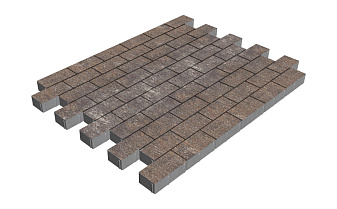 Плитка тротуарная SteinRus Прямоугольник Б.6.П.6, гладкая, Сепия, 200*100*60 мм