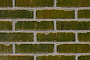 Кирпич облицовочный Terca Mineral Beryl, 210*100*50 мм