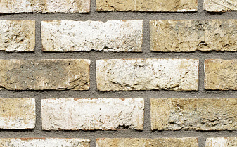 Плитка Terca Bronsgroen, 215*65*22-25 мм