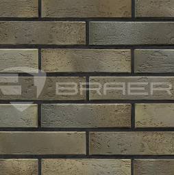 Кирпич BRAER PRO 2.10, 250*120*65 мм