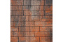Плитка тротуарная SteinRus Прямоугольник Лайн Б.6.П.6 гладкая, ColorMix Рей, 200*100*60 мм