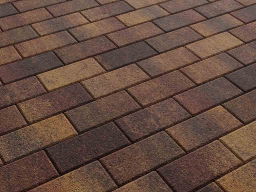 Плитка тротуарная Прямоугольник А.2.П.4 листопад гранит осень, 200*100*40 мм