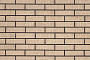 Кирпич облицовочный ТМ Kerma Premium Протей 250*120*65 мм